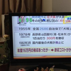 コラム 犬飼主はほっとした 犬税の導入は困難と佐野市が結論 名古屋の税理士なら夜間 休日対応の名古屋市緑区よねづ税理士事務所