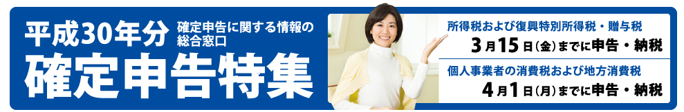 平成30年分確定申告